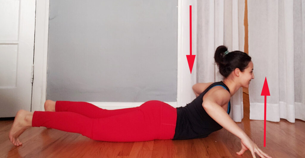 lower back strengtheners