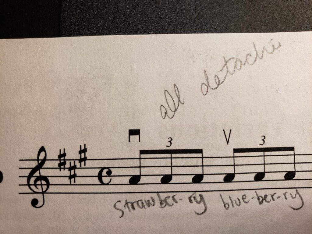 Twinkle Variation D in Suzuki Violin Book 1